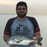 ������ ������� ���� �����