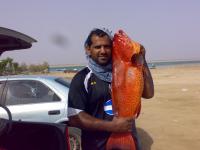 ������ ������� ���� ������