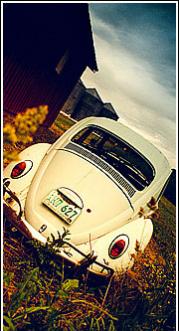 ������ ������� ���� �������