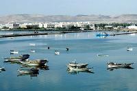 ������ ������� ���� ��������