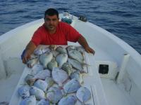 ������ ������� ������