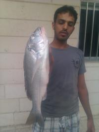 ������ ������� �����