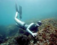 ������ ������� ���� ������